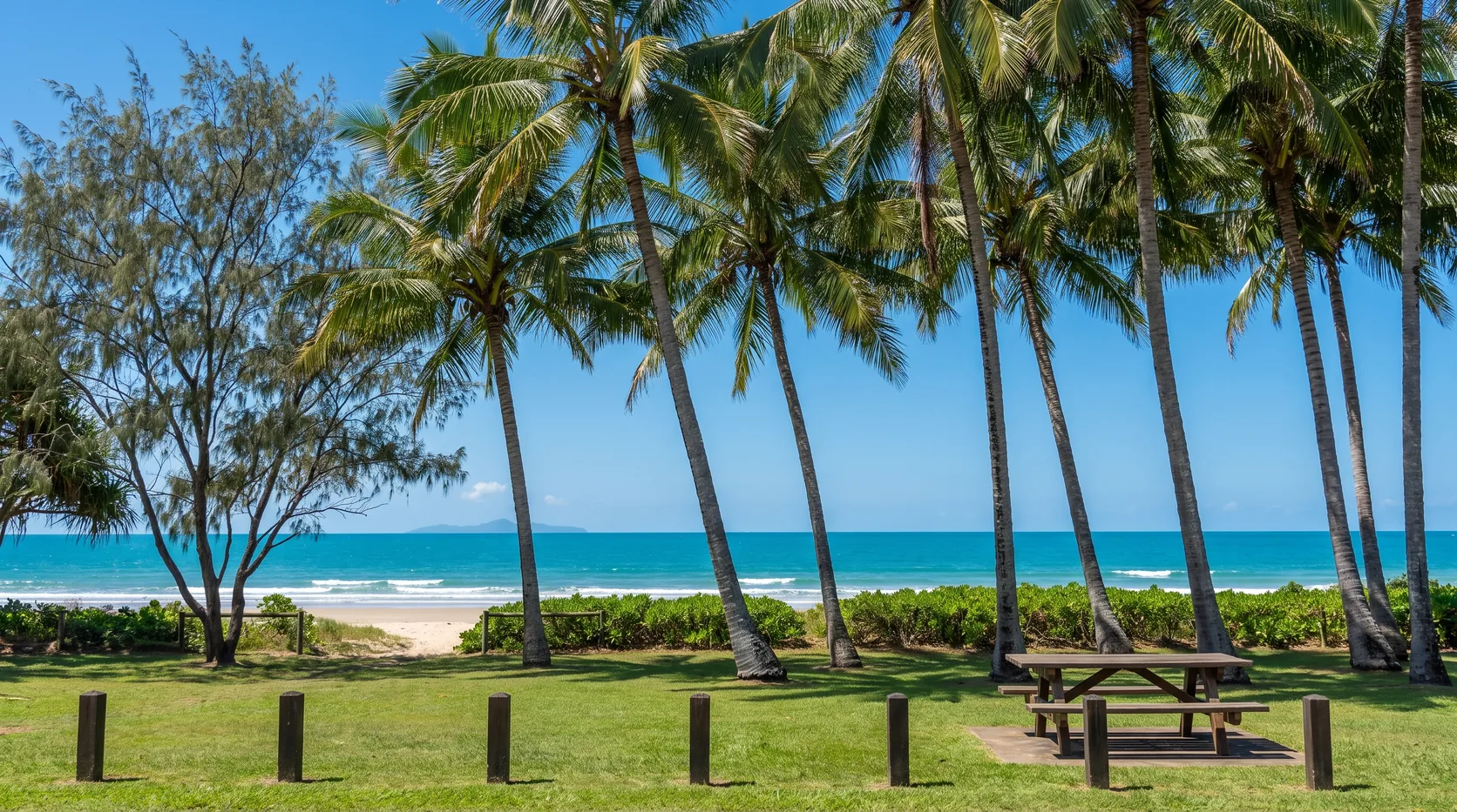 Palm trees and a picnic table on a beachfront lawn on the Cairns Northern Beaches, looking out to the Coral Sea