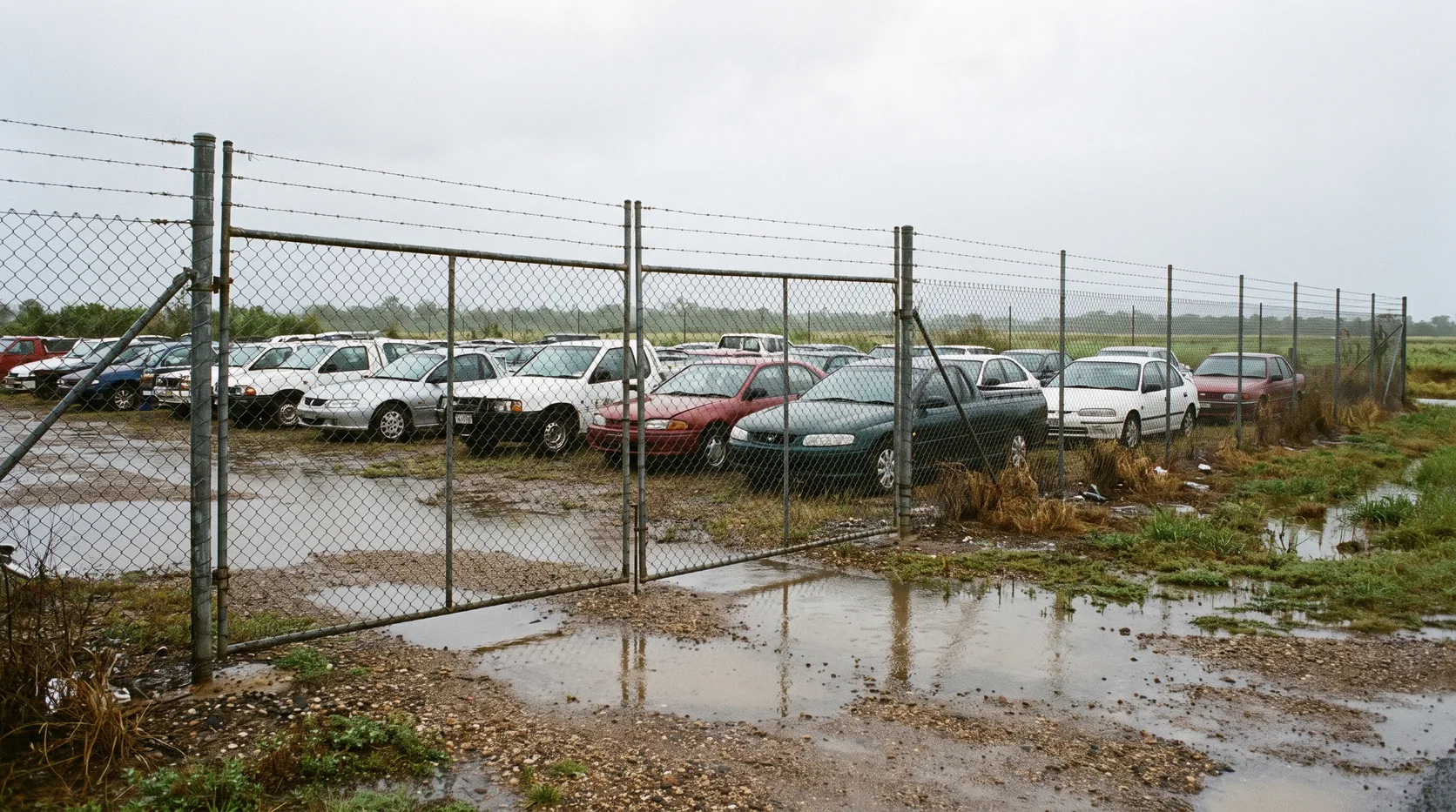 Rows of parked cars behind a chain-link fence at a vehicle holding yard on an overcast day